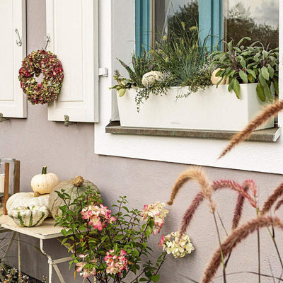 Lechuza BALCONERA Color 80 Selbstwässernder Übertopf aus Kunststoff für drinnen und draussen, Blumen