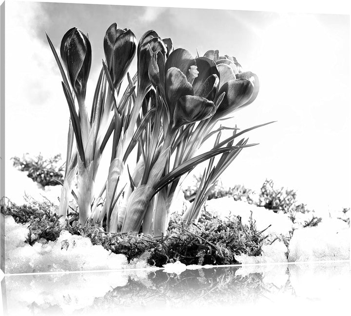 Pixxprint Frühling florwer Hintergrund als Leinwandbild | Grösse: 100x70 cm | Wandbild | Kunstdruck