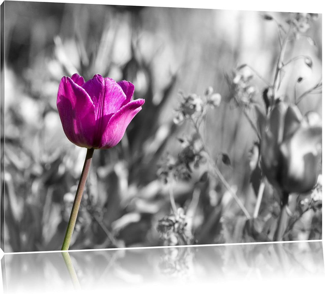 Pixxprint Blumen im Sonnenschein B&W Detail, Format: 100x70 auf Leinwand, 100x70