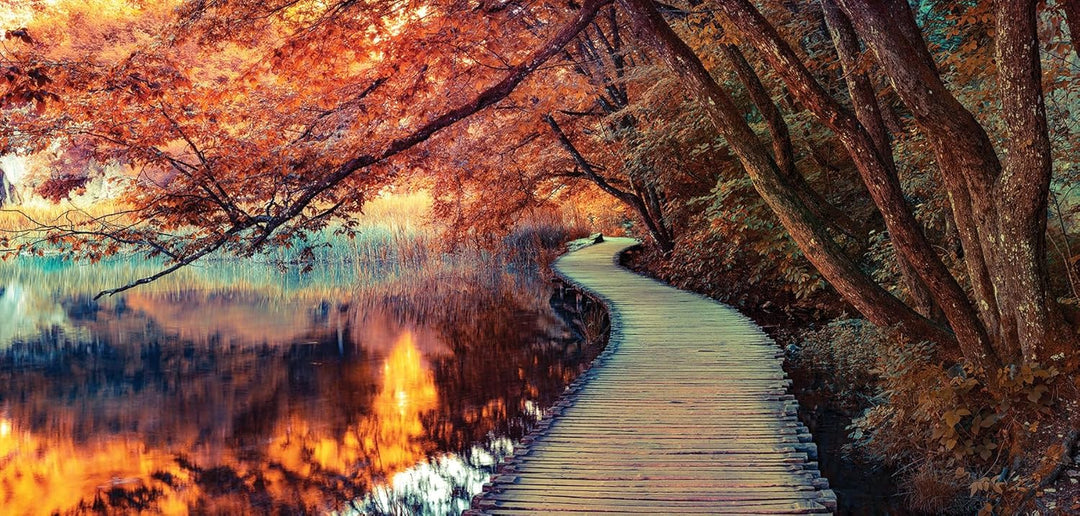 XXL Wandbild 115x55cm Leinwand Herbstfarben Wald Herbst Bild Kunstdruck Deko Wanddeko Leinwandbild S