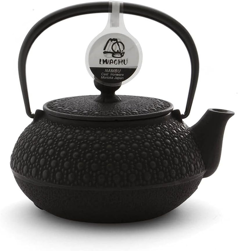 Iwachu Teekanne Gusseisen. Japanische Kyusu Kikko Original, Schwarz 650ml, 0,65 Liter Sieb-Einsatz E
