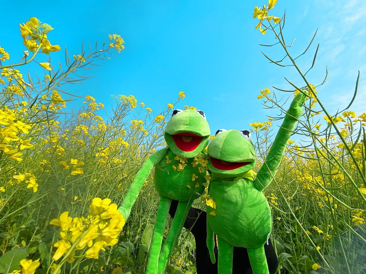 Kermit Froschpuppe, The Muppets Show, weiches Handfrosch, gefülltes Plüschtier, Geschenkideen für Ju