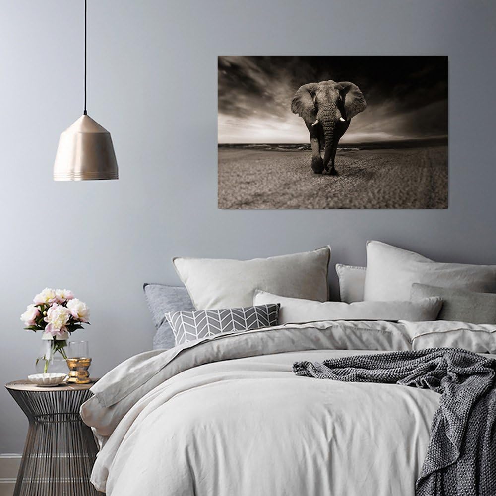 Feeby. Wandbilder - 1 Teilig- 60x90 cm - Bilder Kunstdrucke Deko Panel, ELEFANT, NATUR, SCHWARZ UND