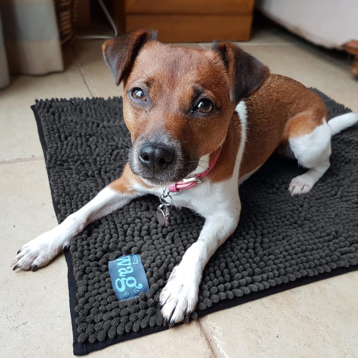 Henry Wag Microfibre Noodle Dog Mat 65 x 50cm farblos, 65 x 50cm farblos