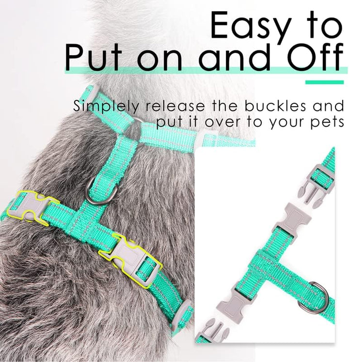 ThinkPet No-Pull Hundegeschirr Leine Set, Atmungsaktiv Brustgeschirr für Kleine Mittlere Grosse Hund