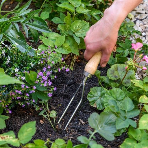 Burgon & Ball GTH/swfrhs Edelstahl Jäten GABEL