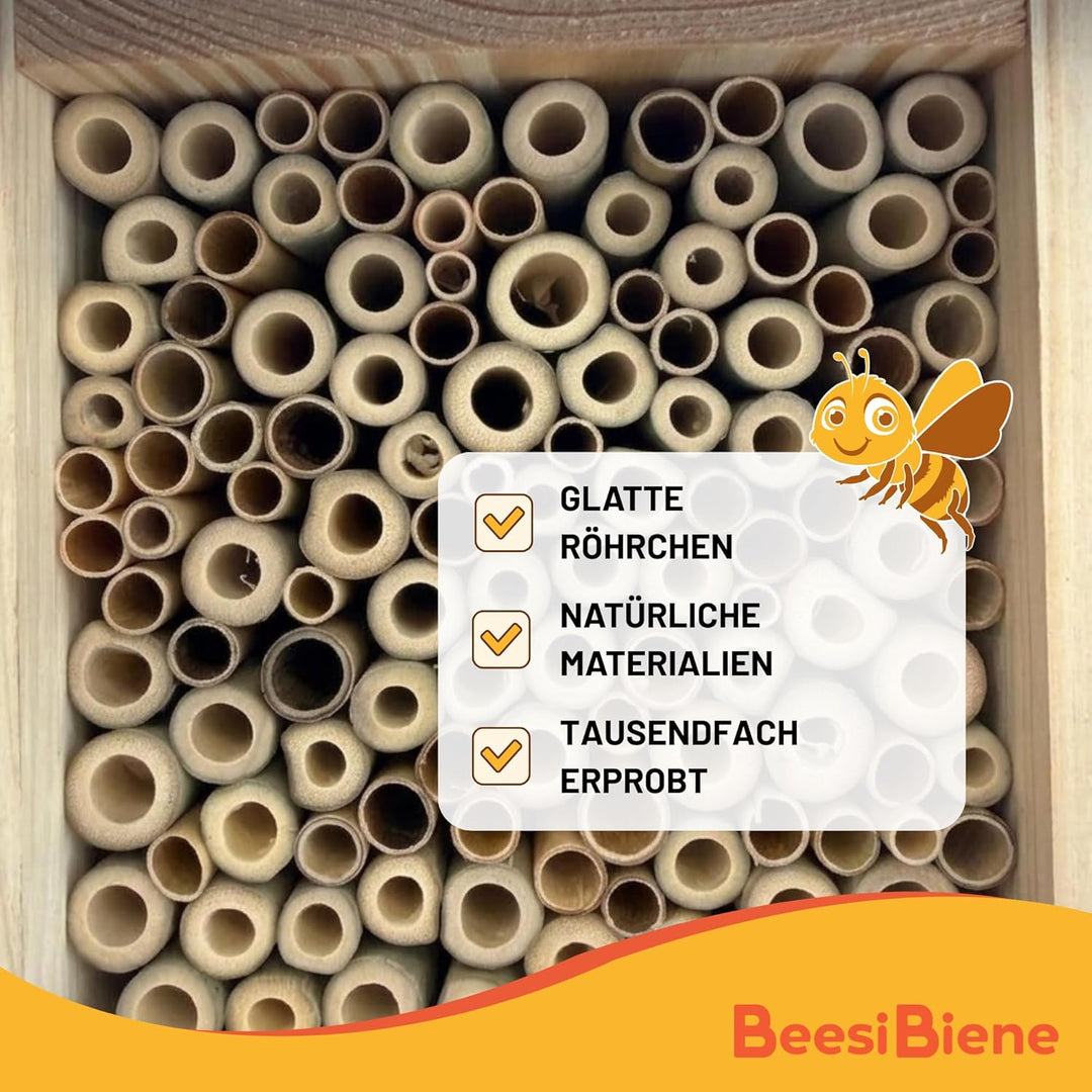 BEESI Insektenhotel mit Vogelschutz-Gitter & Multiplex Dach - Artgerechtes Wildbienenhotel wetterfes