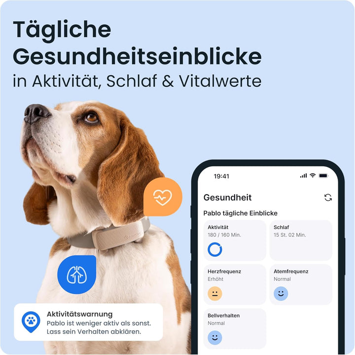 Tractive GPS Tracker Hund | 2025 Edition | Live-Ortung | Weglaufalarm | Aktivitätstracking | Gesundh