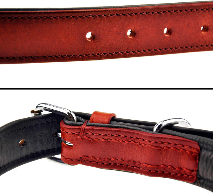 Schnüffelfreunde Halsband für Hunde aus Leder, Hundehalsband für den grossen, mittleren und kleinen