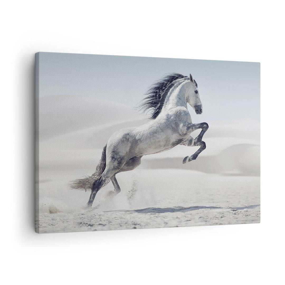 Bilder auf Leinwand Pferd Tier Natur Leinwandbild mit Rahmen 70x50cm Wandbilder Dekoration Wohnzimme