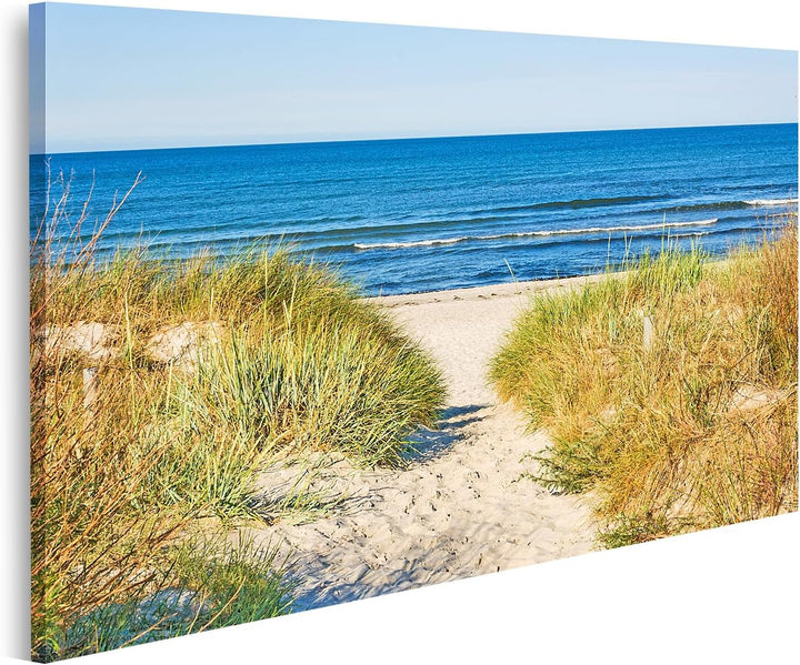 islandburner Bild auf Leinwand Weg Zum Strand An Ostsee Mit Strandhafer Bilder Wandbilder Poster, 80