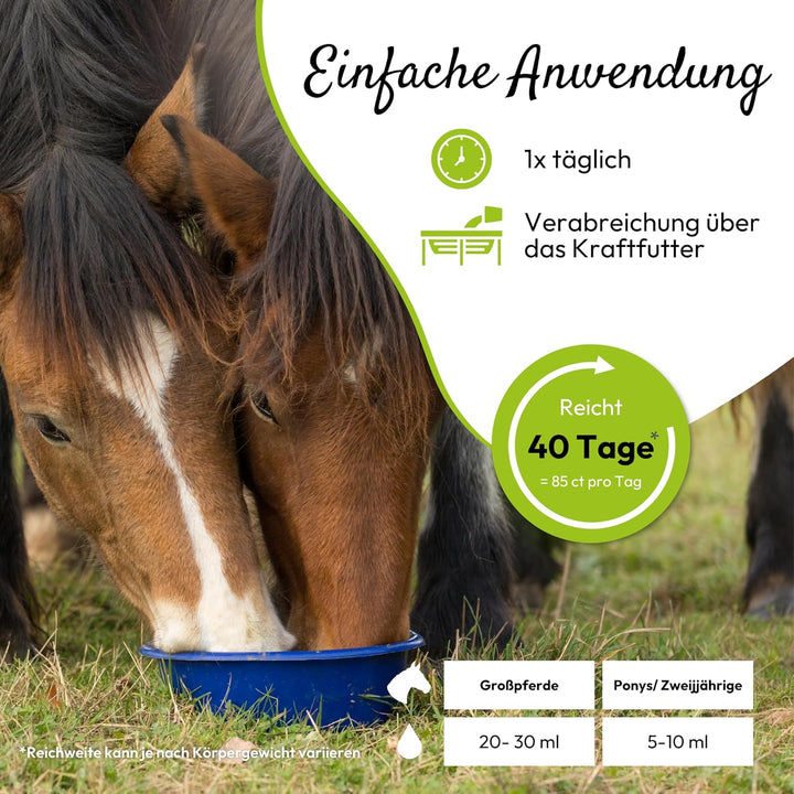PHA BewegungAktiv Liquid Pferd, unterstützt Gelenke, Knorpel, Sehnen und Beweglichkeit der Pferde, m