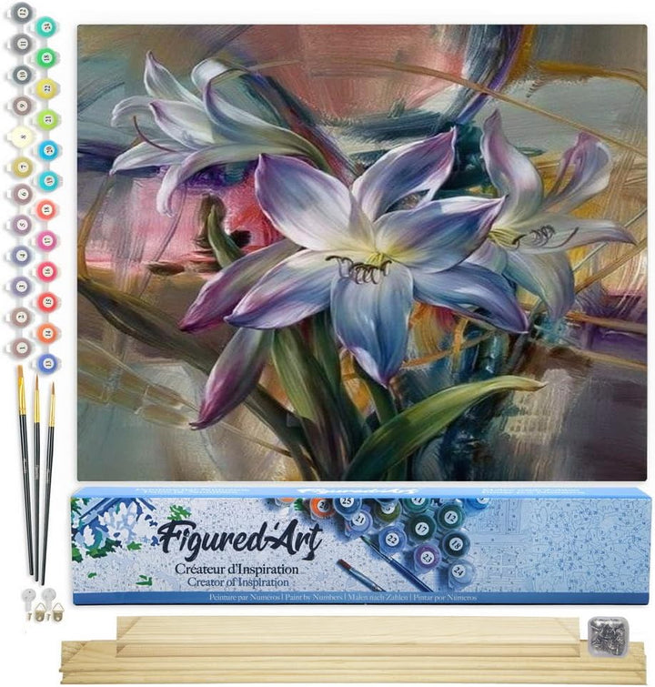 Figured'Art Malen Nach Zahlen Erwachsene Mit Rahmen Bunte Lilie - Paint by Numbers Basteln DIY Baste