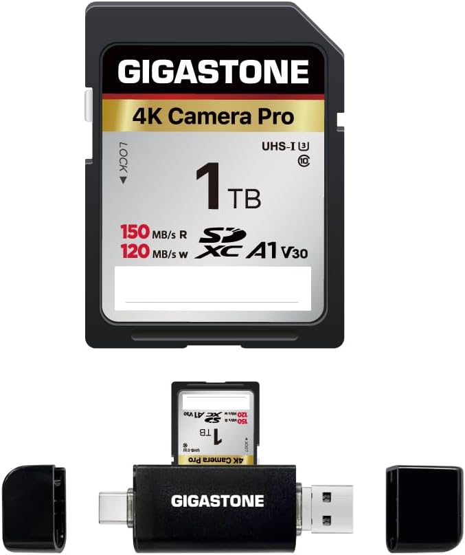 GIGASTONE 1 TB SD-Karte mit USB-Typ-C-Kartenleser, V30, SDXC-Speicherkarte, High-Speed, 4K, Ultra-HD