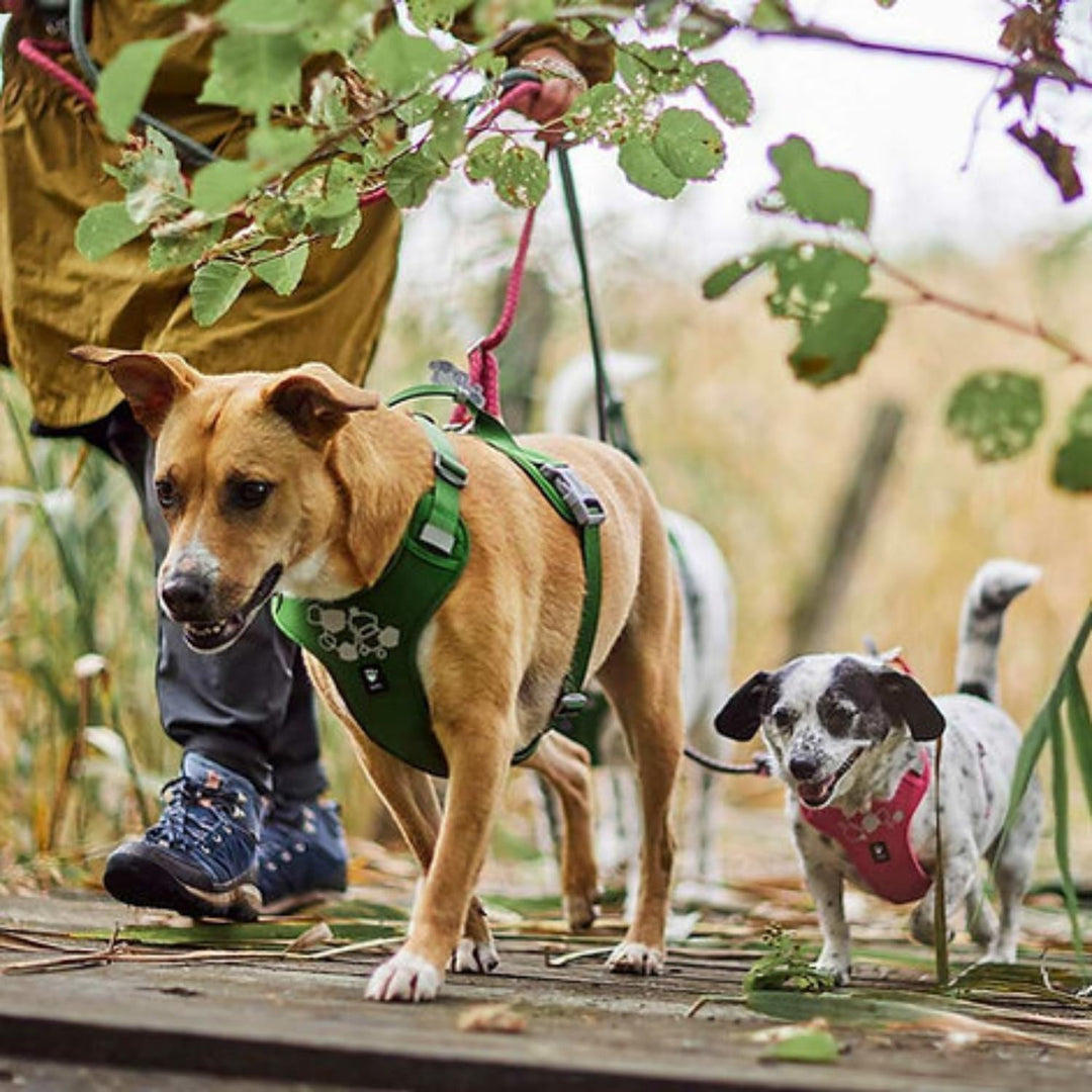 Hurtta Weekend Warrior Hundegeschirr II ECO (Eggplant, lila, 65-80 cm) eggplant, lila 65-80 cm, eggp