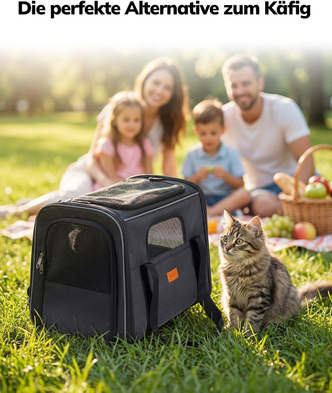 Morpilot Katzentransportbox für grosse Katzen und Welpen bis 7kg, Katzenbox Hundetasche mit Sicherhe
