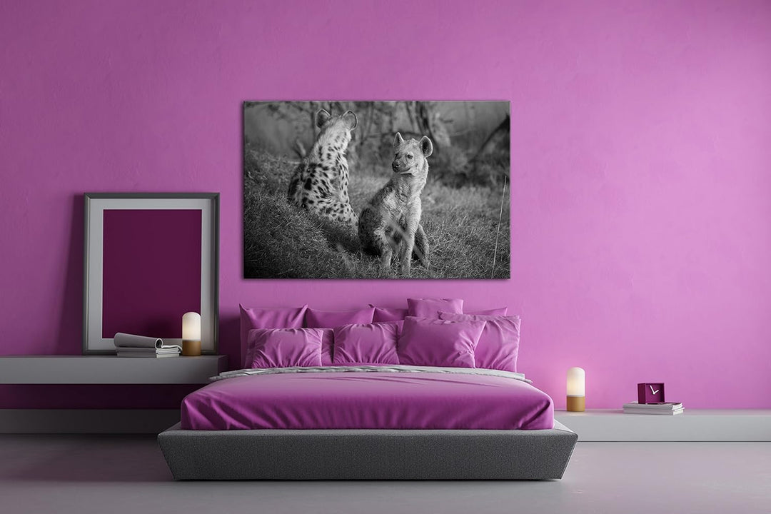 deyoli Hyänen in Afrika Effekt: Schwarz/Weiss Format: 80x60 als Leinwandbild, Motiv fertig gerahmt a