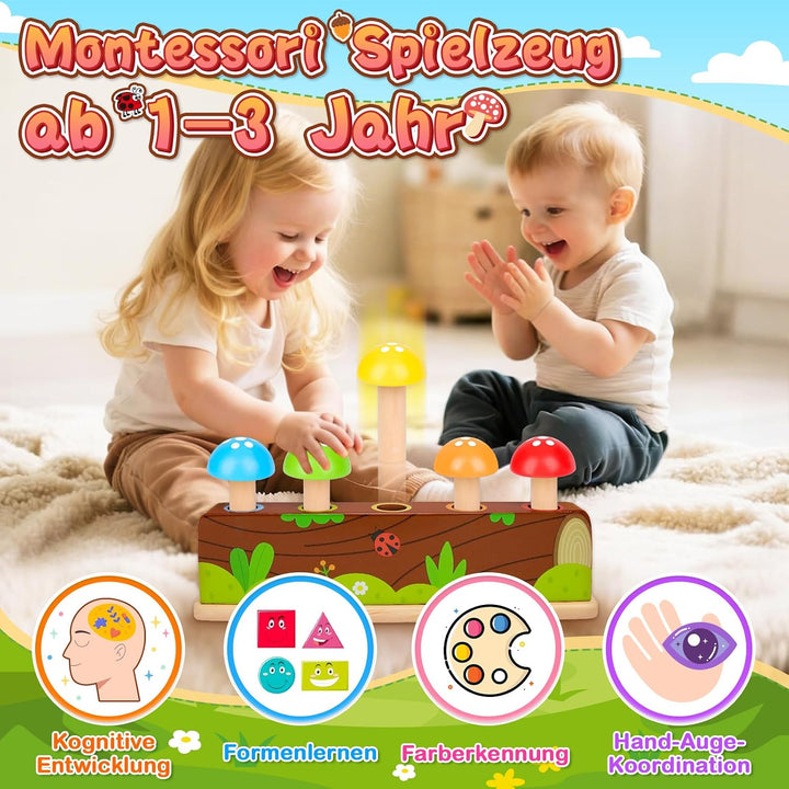 Montessori Spielzeug ab 1-2 Jahr, Pop Up Holz Motorikspielzeug ab 12-18+ Monate Kinder, Geschenk Mäd