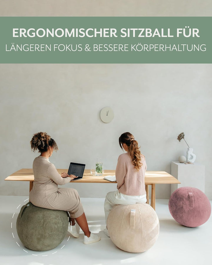 VLUV® BOL VLIP Sitzball Büro Ergonomisch [Atmungsaktiv mit Tragegriff und Wegrollschutz] Waschbarer