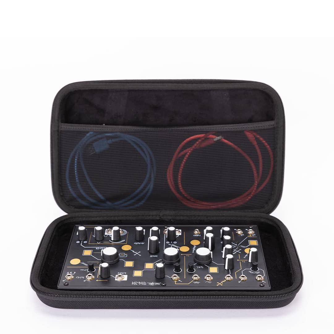 Analog Cases Pulse Case für MakeNoise 0-Coast oder ähnliche Geräte (Transporttasche aus langlebigem,