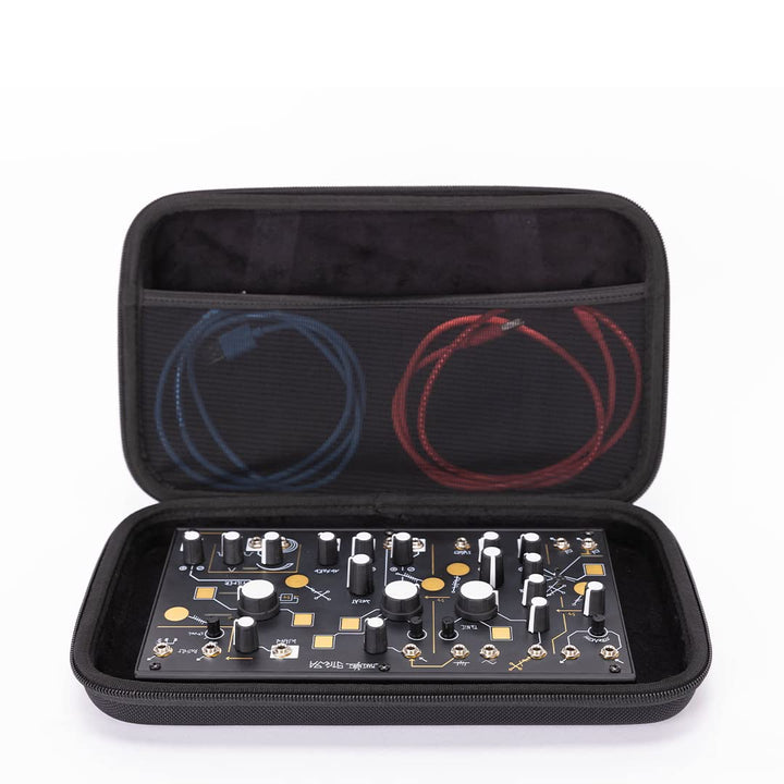 Analog Cases Pulse Case für MakeNoise 0-Coast oder ähnliche Geräte (Transporttasche aus langlebigem,