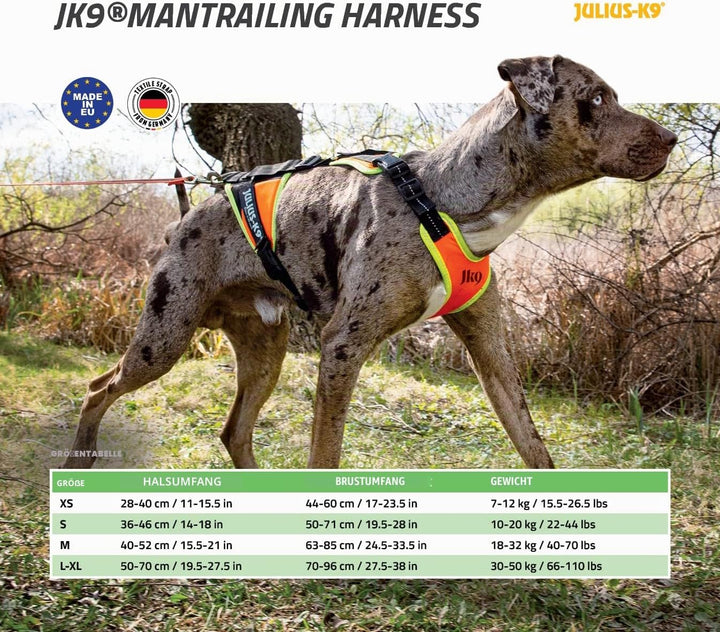 Julius-K9, 19MTR-FOR-XS-AMZ, Mantrailing &amp; Outdoor Hundegeschirr, Grösse: XS, UV orange mit neon Ran