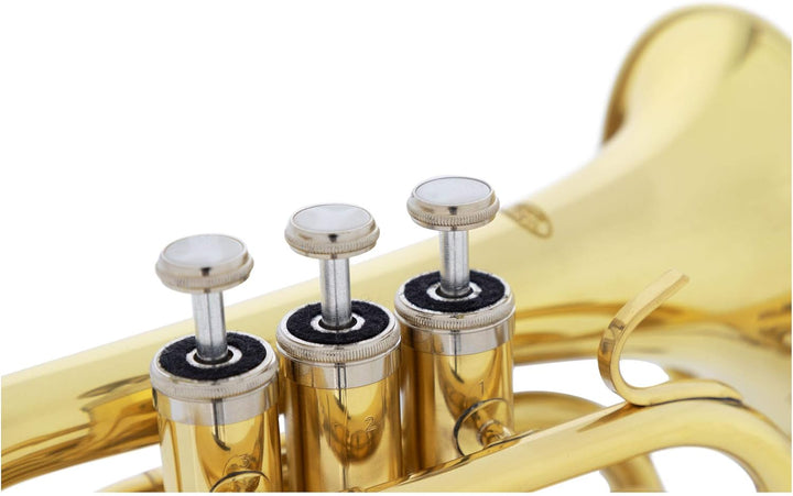Classic Cantabile Brass TT-500 Bb-Taschentrompete Messing - Trompete im Taschenformat - Messing lack