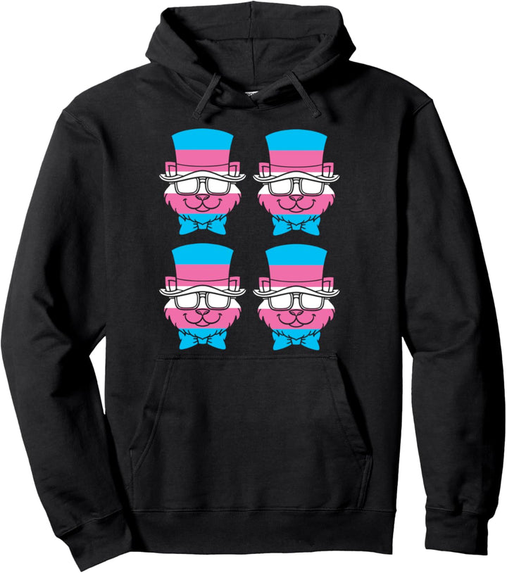 Queer LGBT Transgender LGBTQ Katze Geschenk Transsexuell Pullover Hoodie