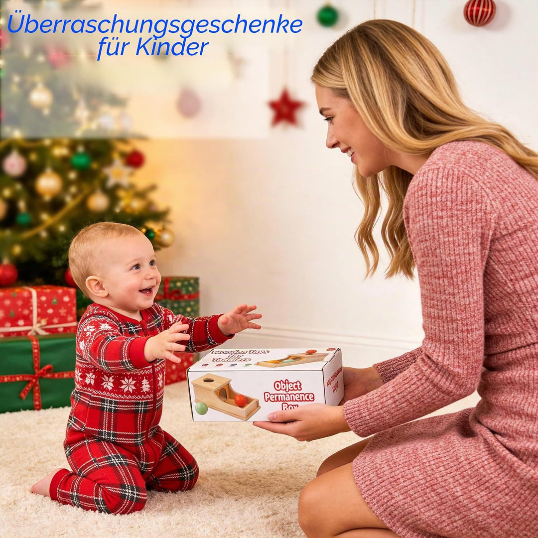 Montessori Spielzeug ab 1 Jahr, Montessori Object Permanence Box, Objektpermanenz Box für Baby 12-18