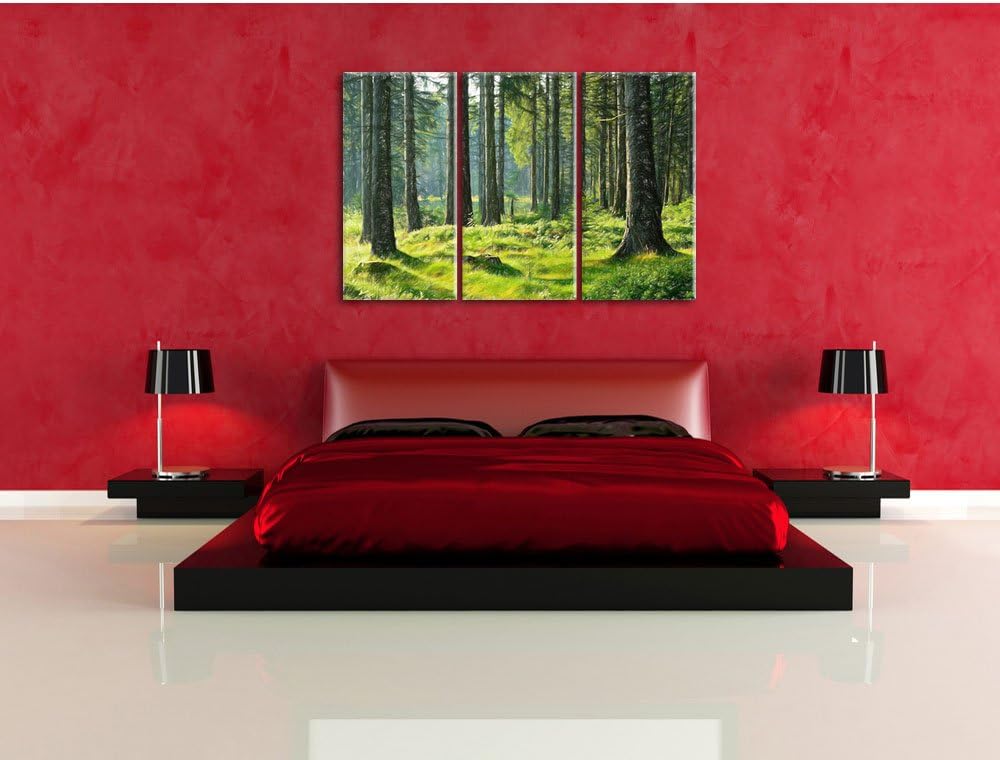 Pixxprint sonniger Tag im Wald / 3-Teilig/Gesamtmass 120cm Leinwandbild bespannt auf Holzrahmen/Wand