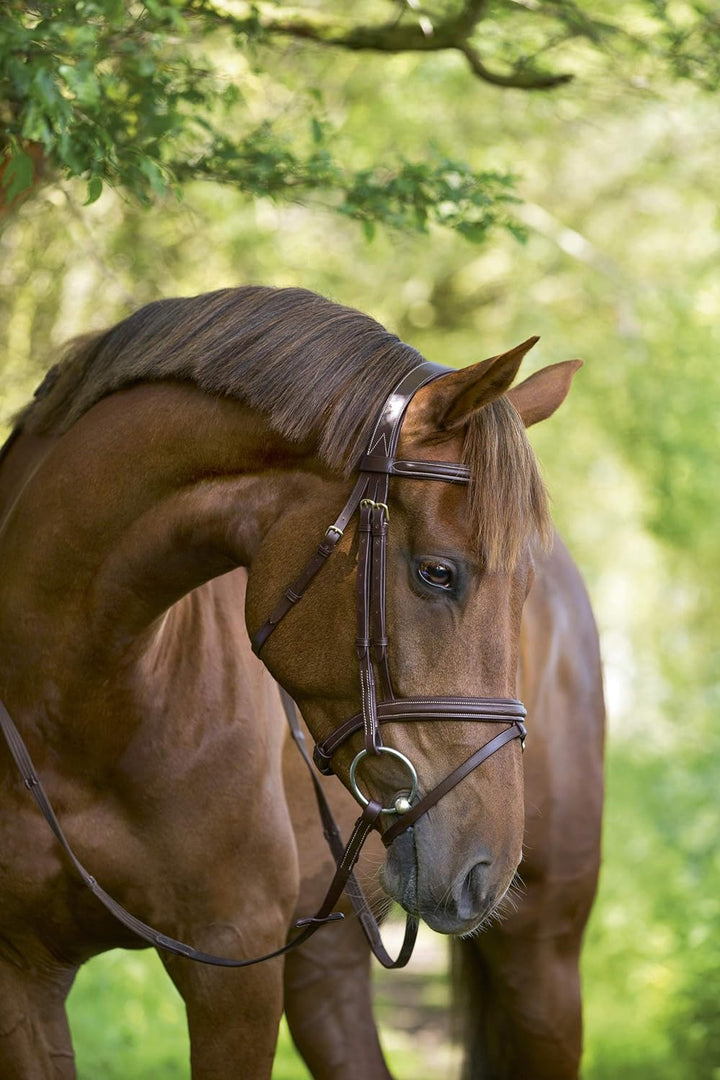 KERBL Trensenzaum Classic Braun Pony, Braun Pony