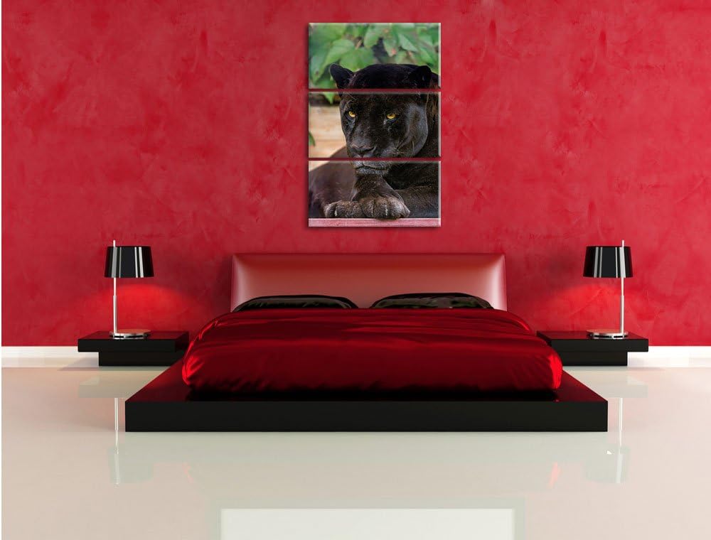 Pixxprint schöner schwarzer Panther 3-Teiler Leinwandbild 120x80 Bild auf Leinwand