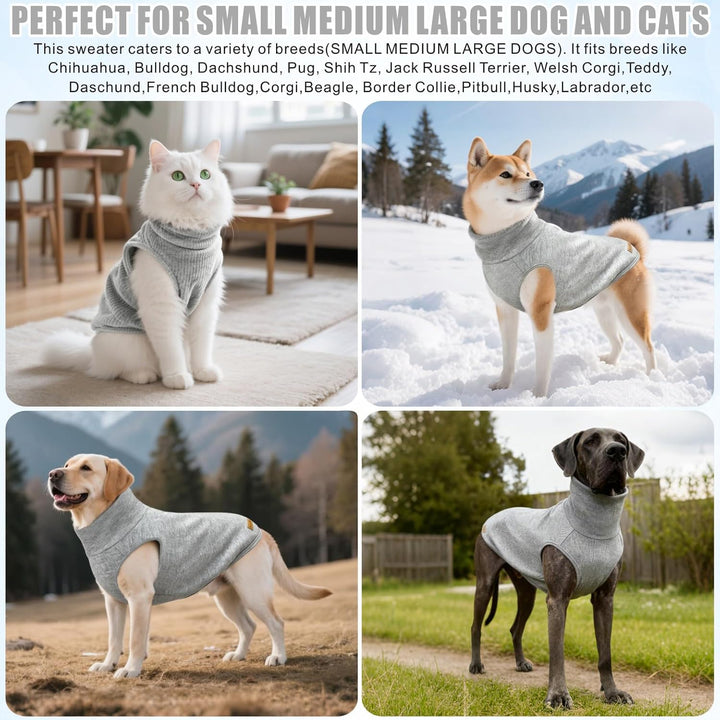 Mosucoirl Sweater für Hunde Pullover Hundebekleidung Schildkröten Hunde Sweatshirt Dicke Warme Hunde