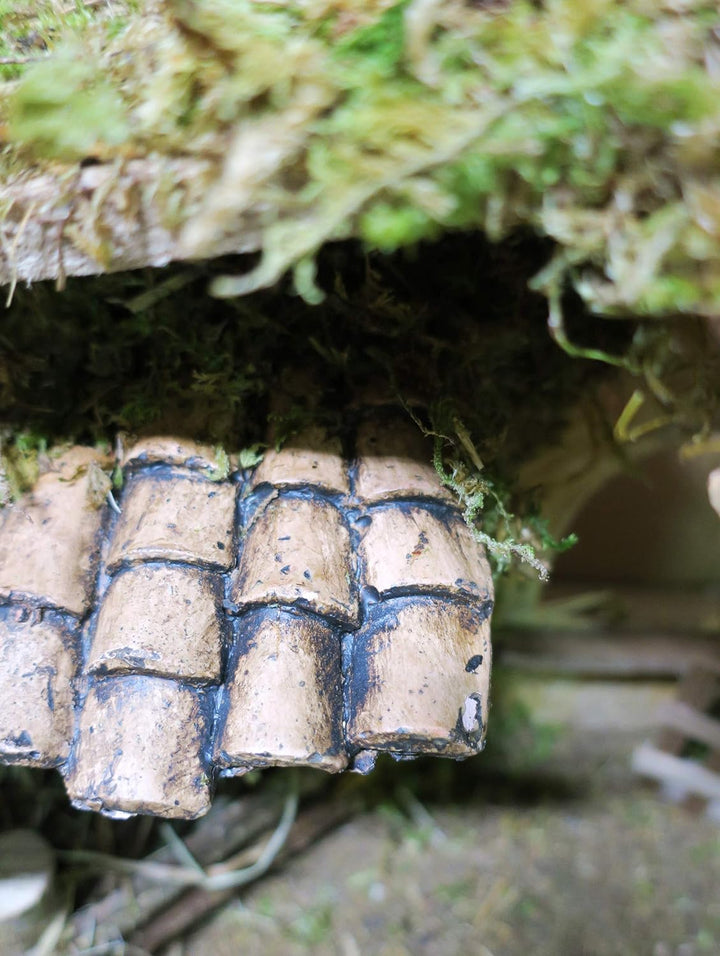 Ferrari & Arrighetti Leere Holzhütte mit Zaun, Holz, Mehrfarbig, Einheitsgrösse