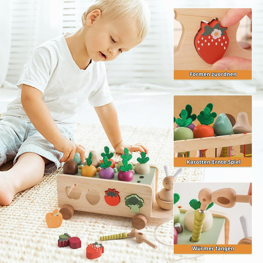 WOODEN TEETHER Montessori Holzspielzeug ab 1 2 3 Jahr, Steckspiel Sortierspiel Holzpuzzle Karottener