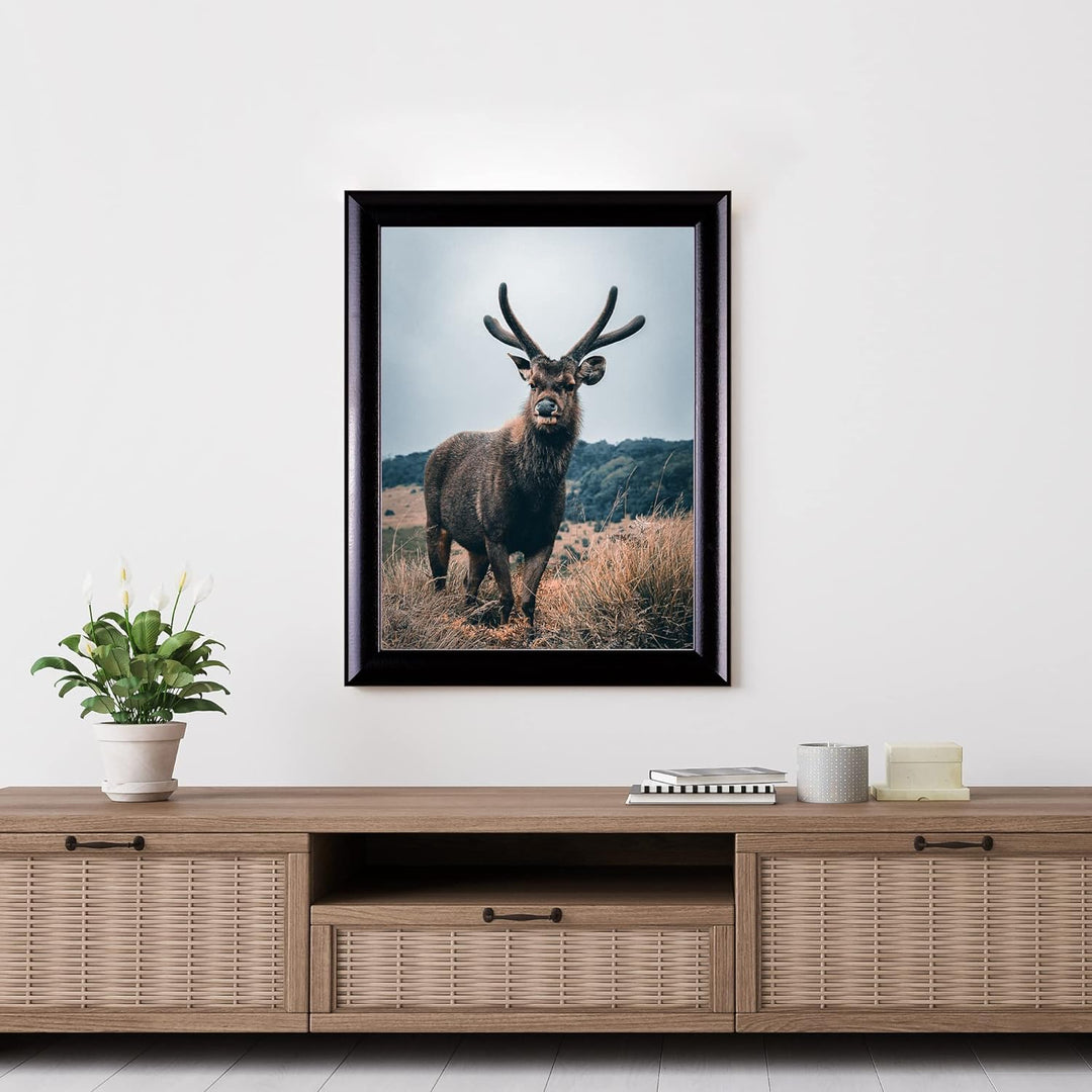 Rahmendesign24 Posterrahmen Fiona 60x60 Schwarz (hochglanz) Fotorahmen, Wechselrahmen, Bilderrahmen