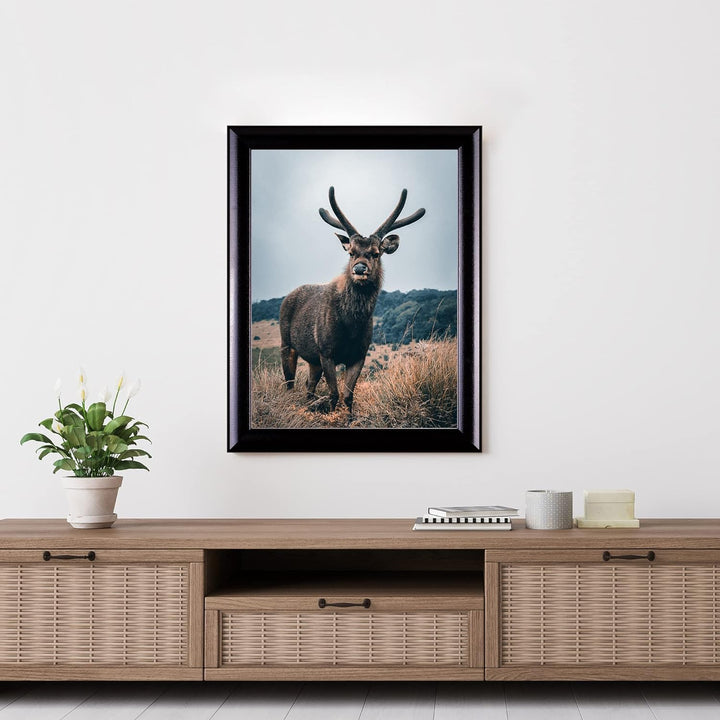 Rahmendesign24 Posterrahmen Fiona 60x60 Schwarz (hochglanz) Fotorahmen, Wechselrahmen, Bilderrahmen