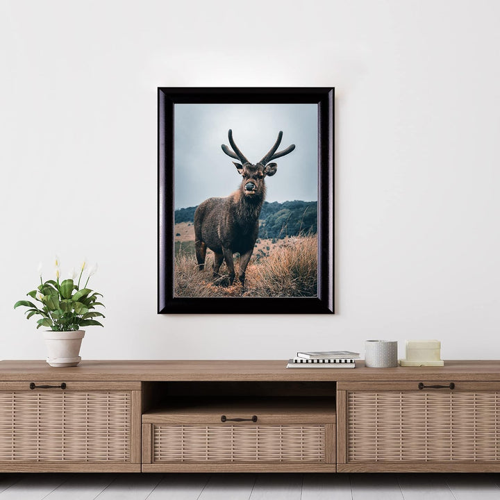 Rahmendesign24 Posterrahmen Fiona 60x60 Schwarz (hochglanz) Fotorahmen, Wechselrahmen, Bilderrahmen