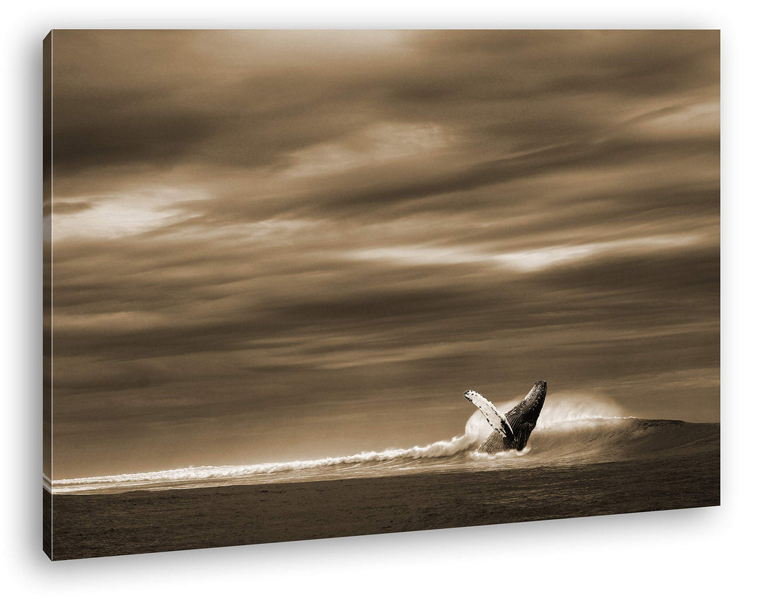 deyoli einsamer Wal Format: 80x60 Effekt: Sepia als Leinwandbild, Motiv fertig gerahmt auf Echtholzr