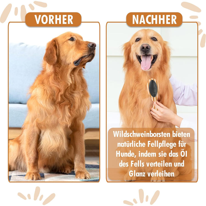 Testnote: Sehr gut - Hundebürste & Katzenbürste I Glätten und Entfilzen I Mittel - langhaar Fell gee