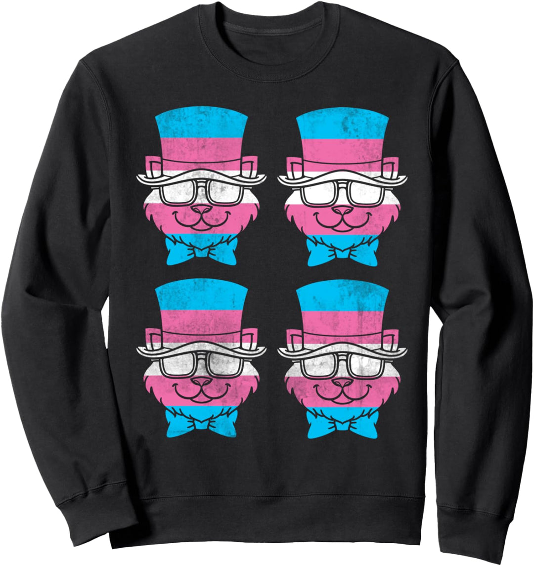 Transsexuell Katze LGBTQ Trans Pride Geschenk Transgender Sweatshirt