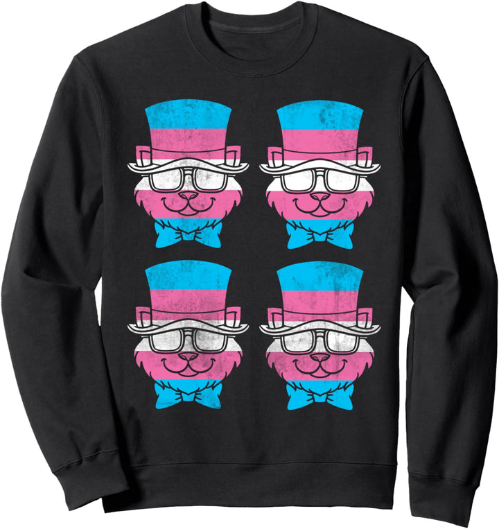 Transsexuell Katze LGBTQ Trans Pride Geschenk Transgender Sweatshirt