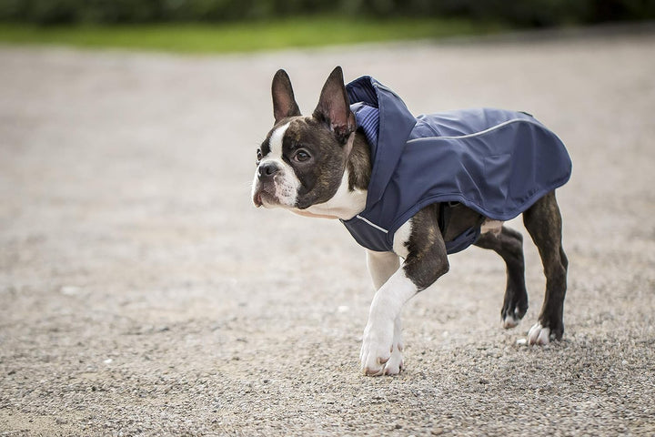 CHIARA Scotty Regenjacke mit Geschirr CHJ-Y1811BL-S-CHIARA-Regenmantel, Regencape (Grösse: S, Materi