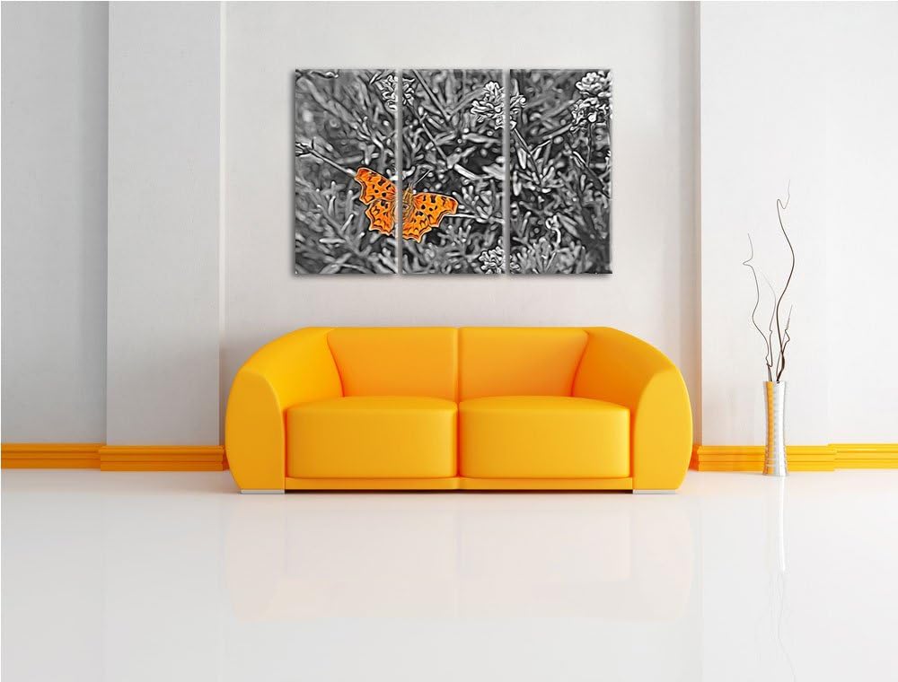 schöner Schmetterling auf Blumenwiese schwarz/weiss Spezial 3-Teiler Leinwandbild 120x80 Bild auf Le