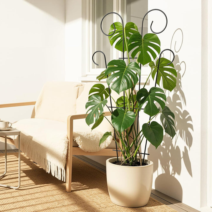 4er-Pack 109 cm / 43 Zoll Indoor-Pflanzenspalier für kletternde Topfpflanzen, Outdoor-Metallgarten-S