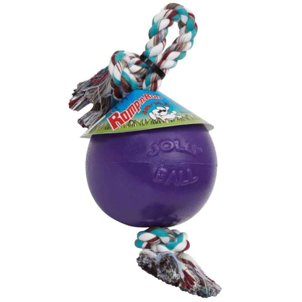 Jolly Pets Romp-N-Roll Ball 6 Inches/Medium Blau/Violett, 6 Inches/Medium Blau/Violett