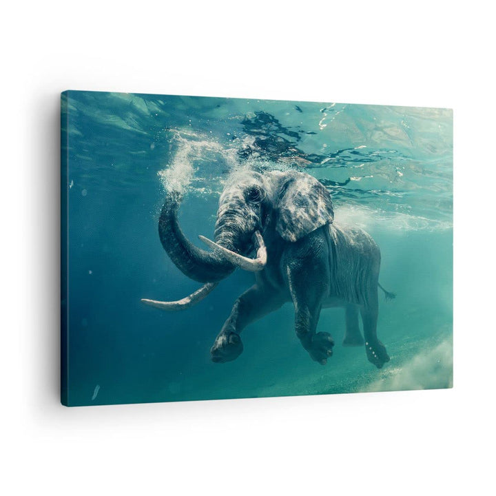 Bilder auf Leinwand Elefant Tier Wasser Leinwandbild mit Rahmen 70x50cm Wandbilder Dekoration Wohnzi