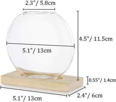Tischplatte hängen Glas Pflanzer Pcs von 2 Vermehrungsstation Moderne Blumenknospe Vase in Holz Steh