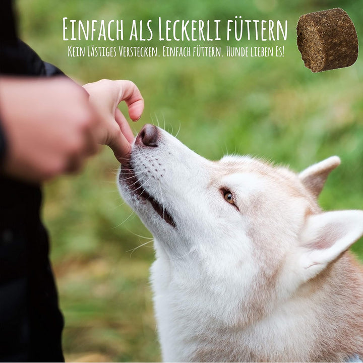 Schnüffelfreunde Zerotan Plus I Mit Schwarzkümmelöl und Kokosöl - Snack für Hunde (300g - ca. 360 St