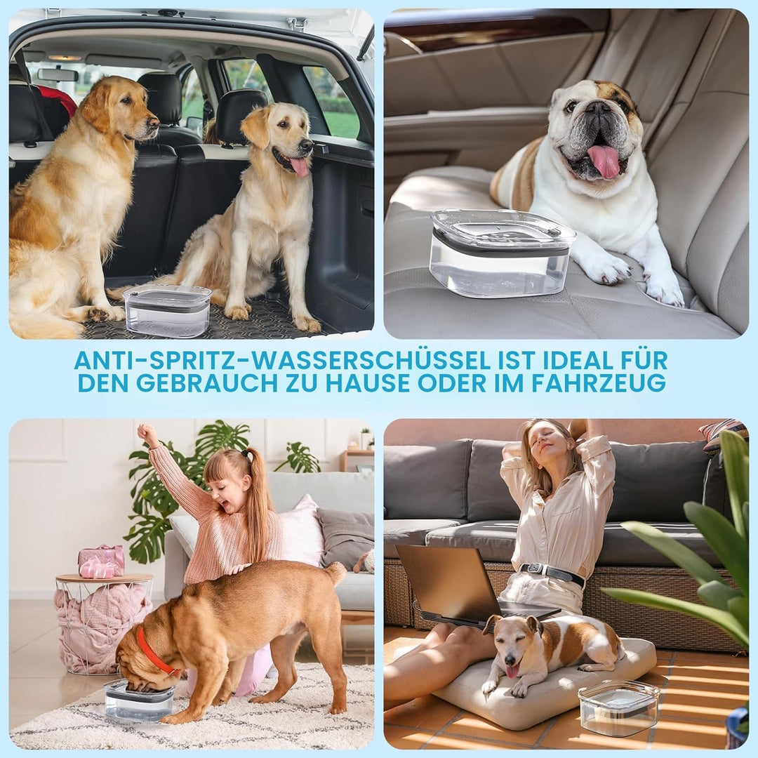 Hunde Wassernapf ohne Verschütten, Knapp 2.5L Grosser Auslaufsicherer Hundenapf, Anti-Spritz Wassers